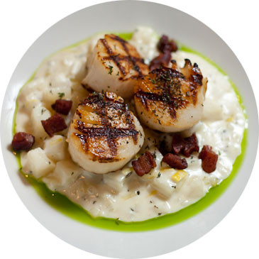 Scallop